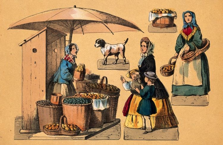 History of the Umbrella|market umbrella history||SU2 market umbrella