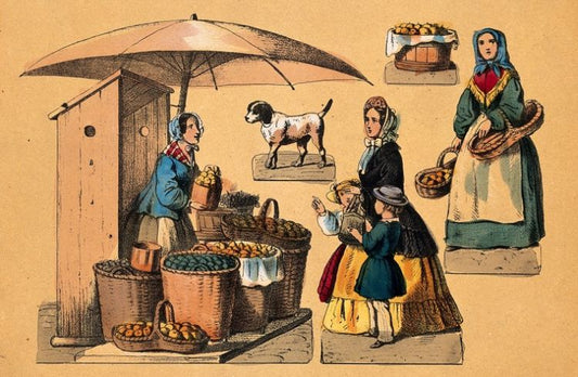 History of the Umbrella|market umbrella history||SU2 market umbrella